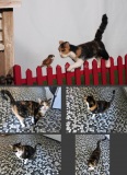 A7RIV_01587-und-Fotos